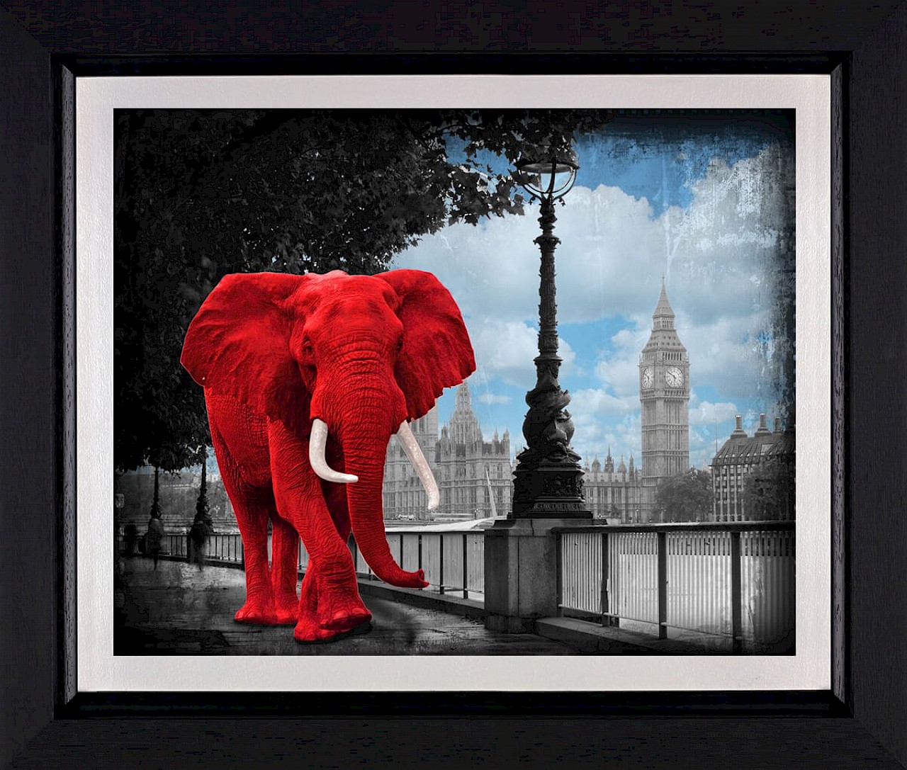 Westminster Wanderer