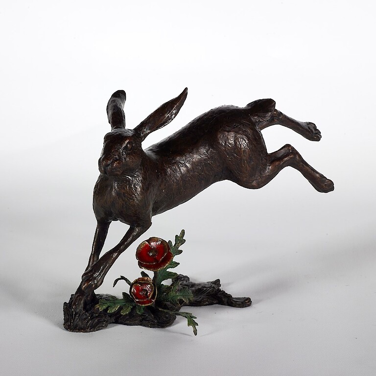 High Hopes Hare