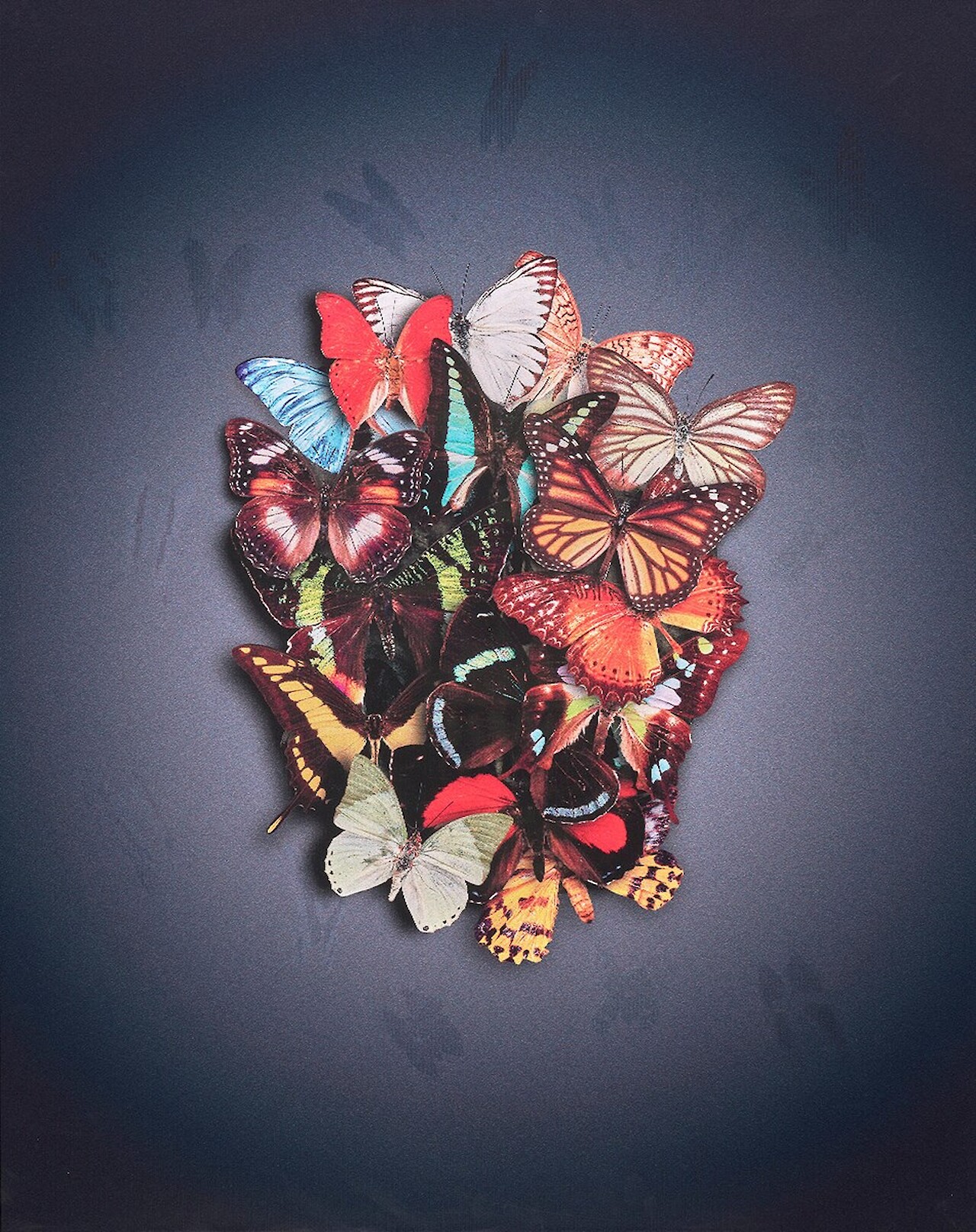 Enlightenment (Lenticular)