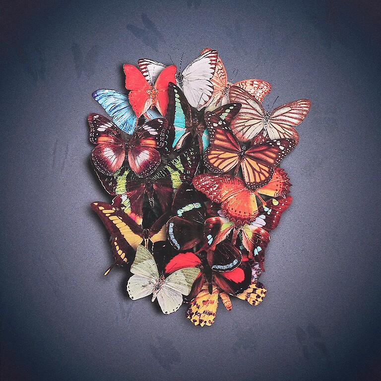 Enlightenment (Lenticular)