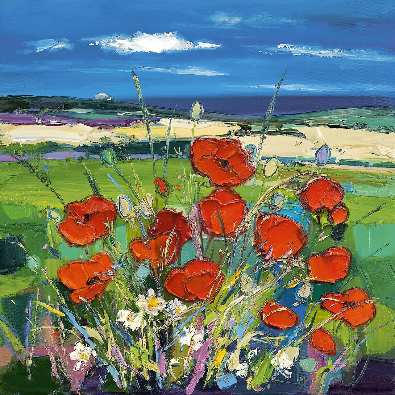Poppies with a Glimpse ​of the Sea