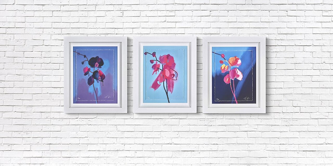 Set of 3 Orchids - Eclipse | Enchant | Ethereal